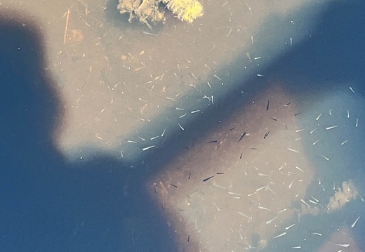 22-06-30 13-09-51 1259